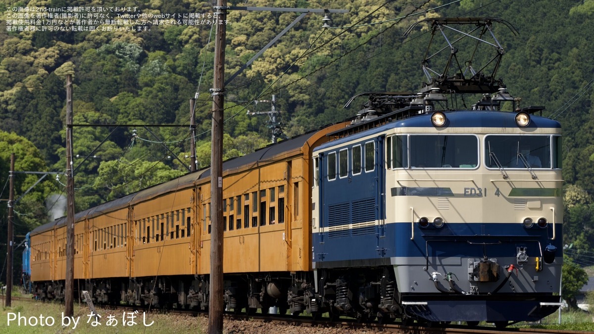大鐵】きかんしゃトーマス号の補機にED31-4が充当 |2nd-train鉄道ニュース