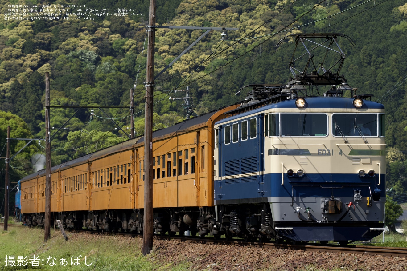 【大鐵】きかんしゃトーマス号の補機にED31-4が充当の拡大写真