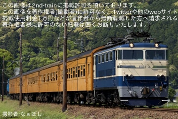 【大鐵】きかんしゃトーマス号の補機にED31-4が充当