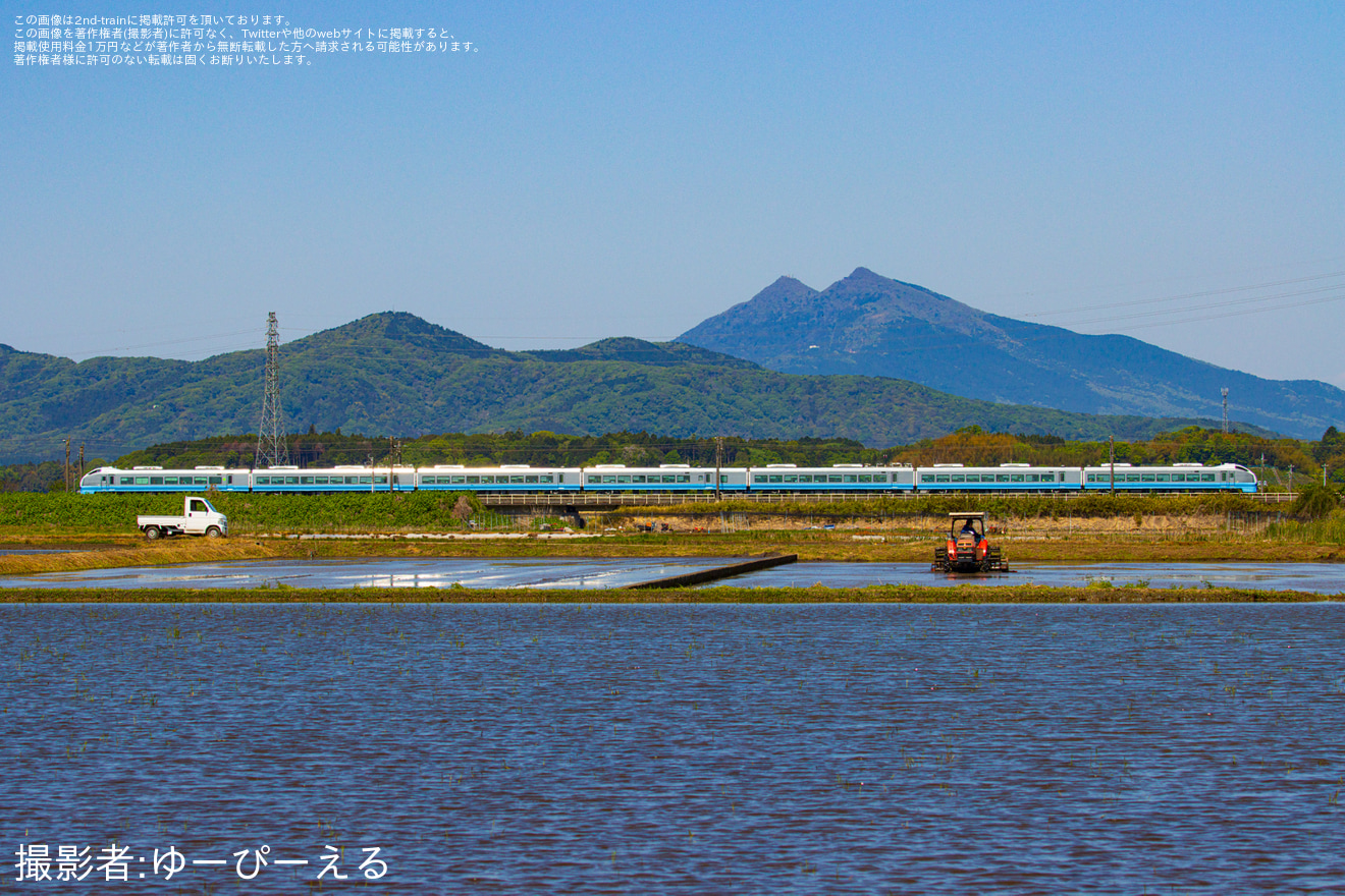 【JR東】臨時特急「絶景ネモフィラ高崎号」を運行(2025年4月)の拡大写真