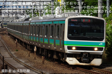 【JR東】E231系マト115編成東京総合車両センター入場回送(202505)