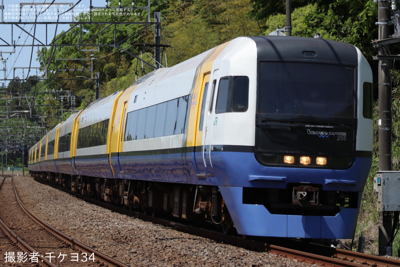 【JR東】255系を使用した「しおさい81号・82号」を運行の拡大写真