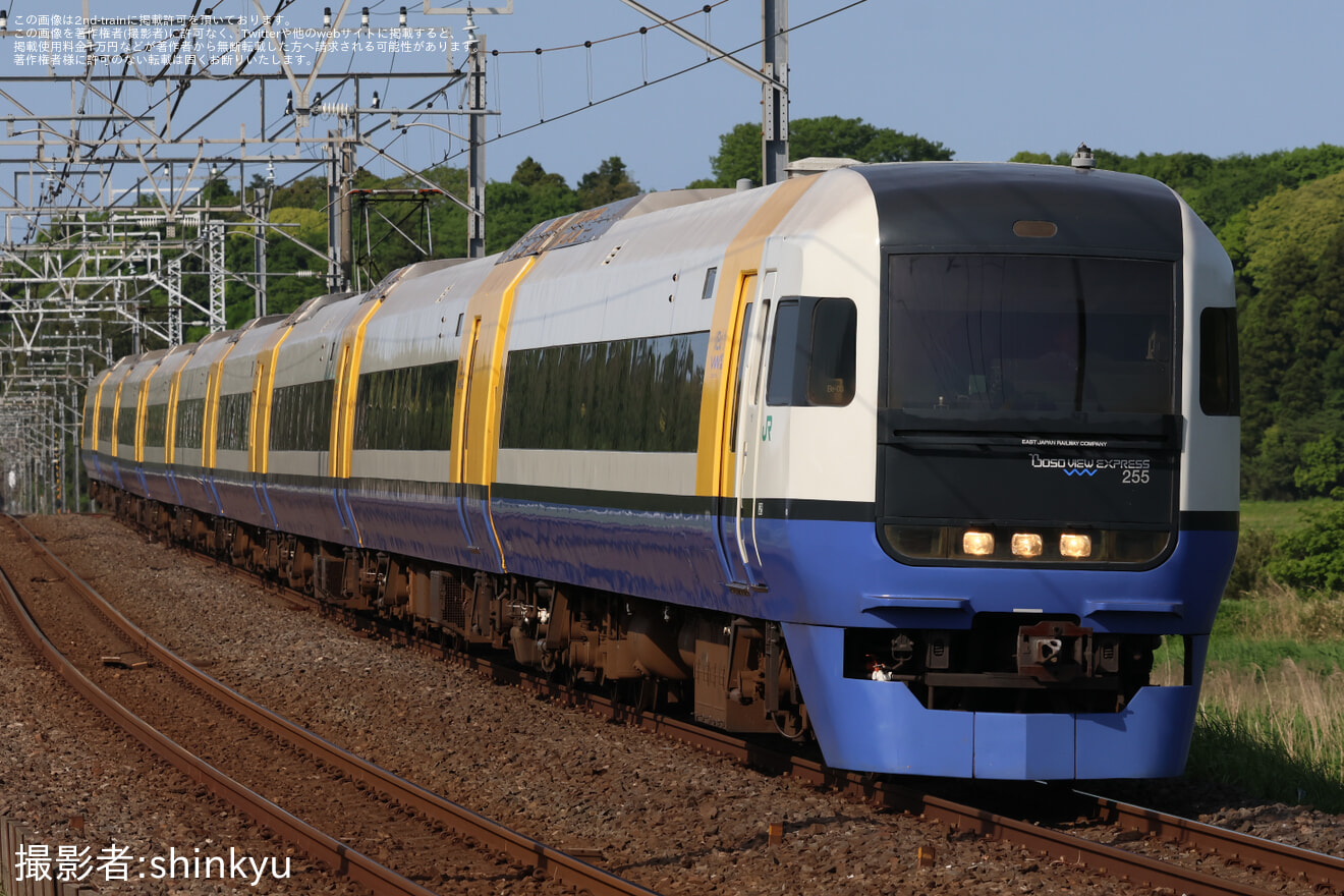 【JR東】255系を使用した「しおさい81号・82号」を運行の拡大写真