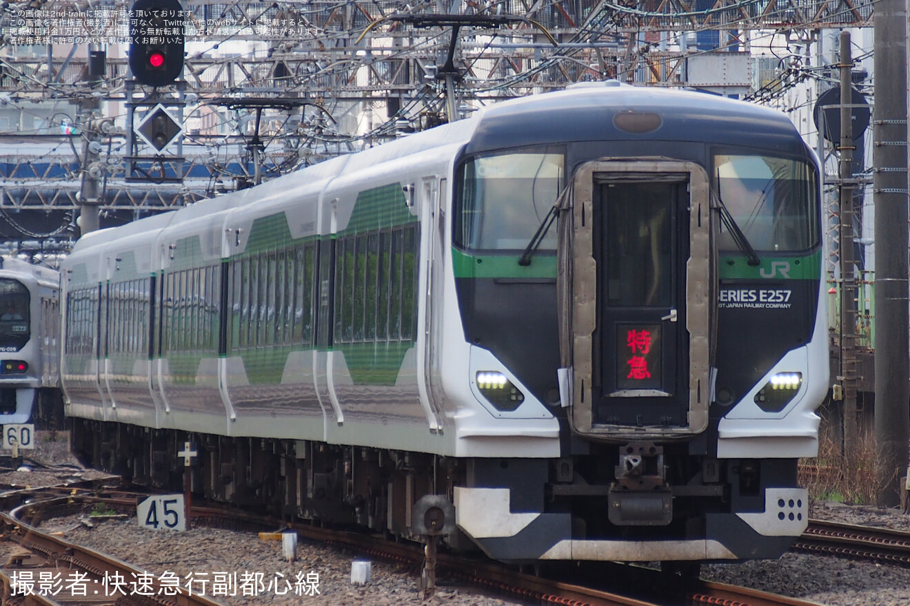 【JR東】臨時特急「あしかが大藤新宿号」を運行(2025年)の拡大写真
