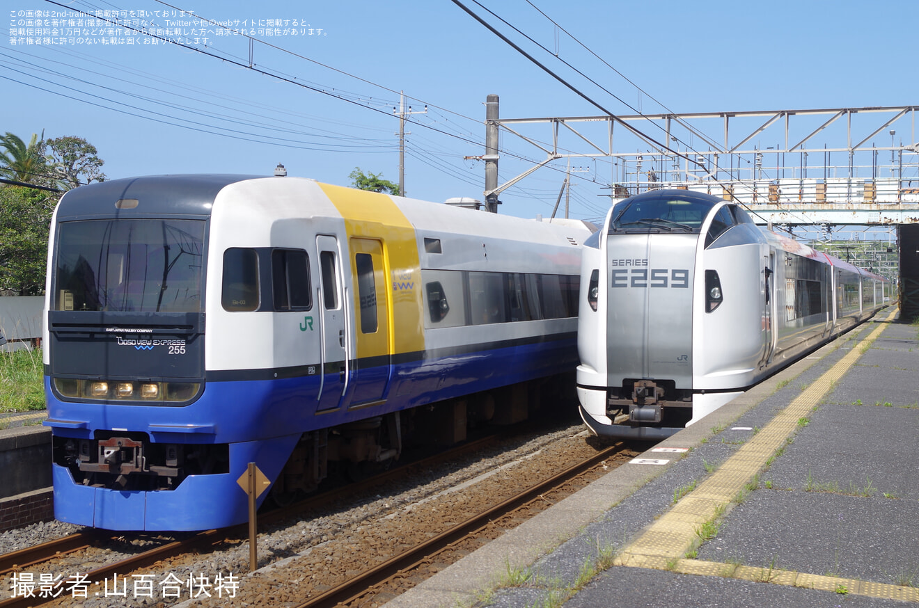 【JR東】255系を使用した「しおさい81号・82号」を運行の拡大写真