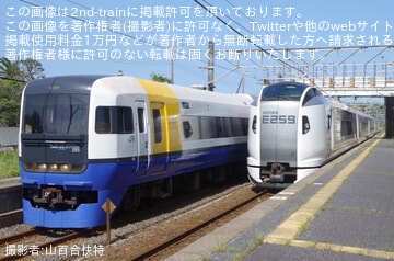 by山百合快特