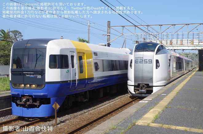 【JR東】255系を使用した「しおさい81号・82号」を運行を飯岡駅で撮影した写真