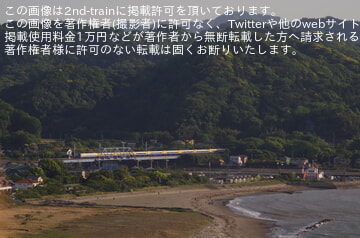 by山百合快特