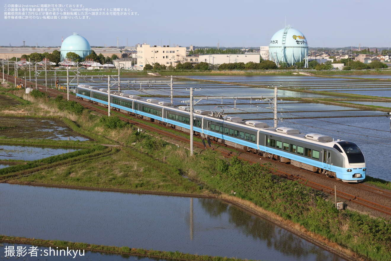 【JR東】臨時特急「絶景ネモフィラ高尾号」を運行(2025年5月)の拡大写真