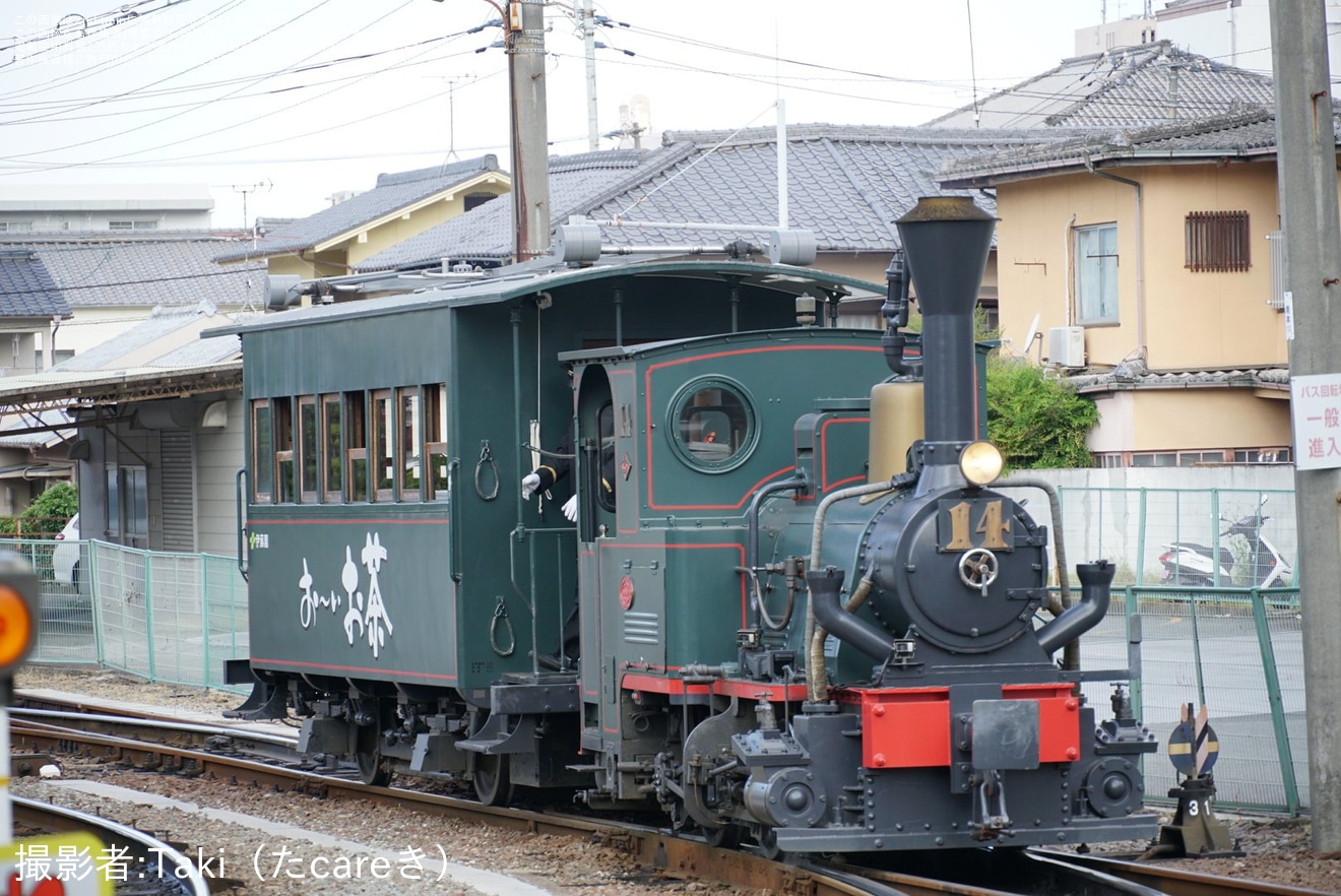 【伊予鉄】坊っちゃん列車「お～いお茶」新デザインのラッピングで運行開始の拡大写真