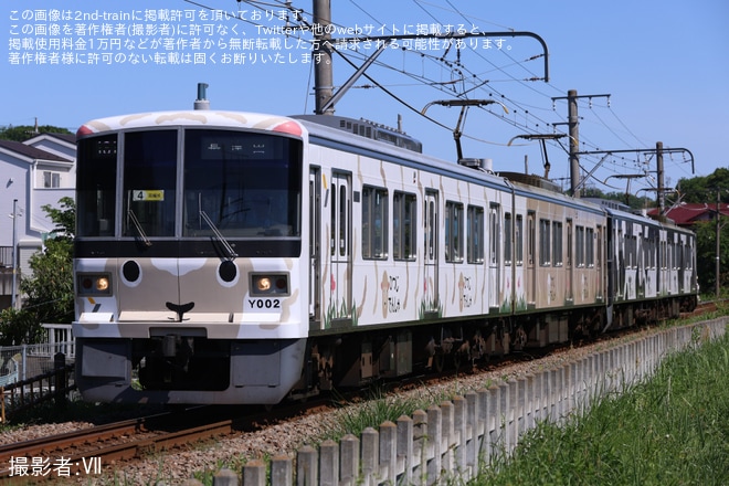 【東急】こどもの国線 臨時列車増発・「うしでんしゃ」+「ひつじでんしゃ」4両編成運転