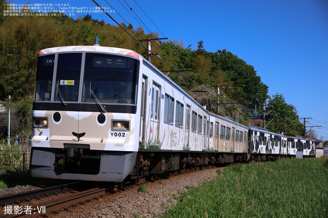 【東急】こどもの国線 臨時列車増発・「うしでんしゃ」+「ひつじでんしゃ」4両編成運転の拡大写真