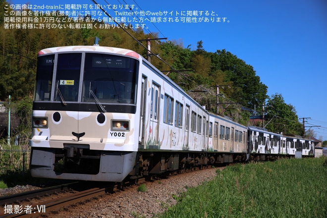 【東急】こどもの国線 臨時列車増発・「うしでんしゃ」+「ひつじでんしゃ」4両編成運転