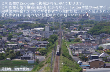 by山百合快特