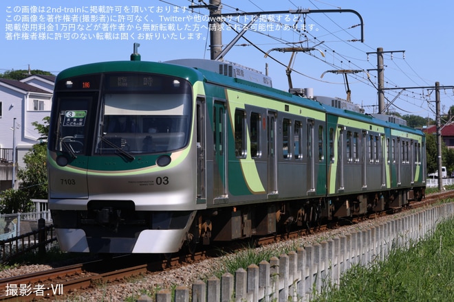 【東急】こどもの国線 臨時列車増発・「うしでんしゃ」+「ひつじでんしゃ」4両編成運転