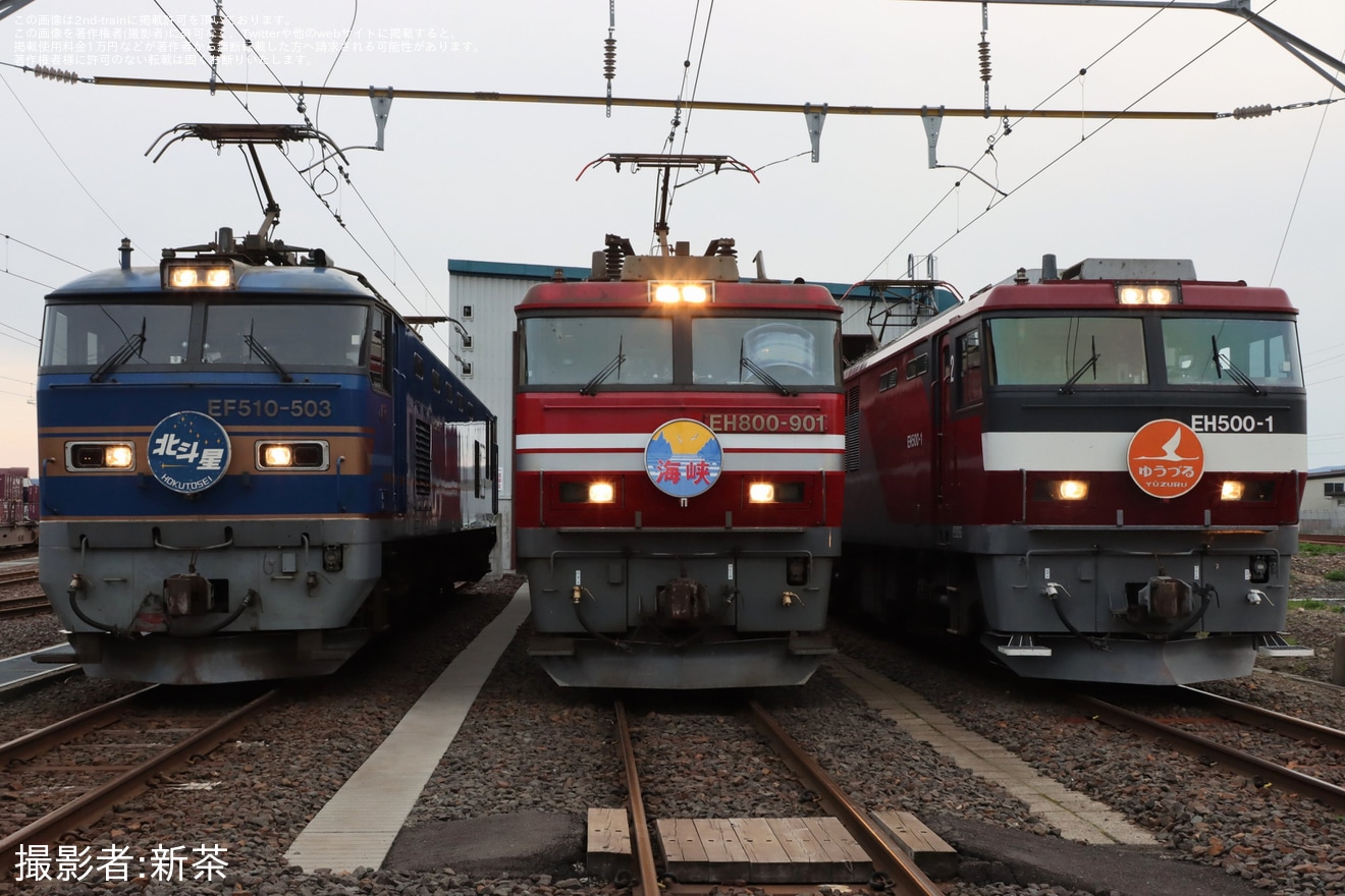 【JR貨】JR貨物×JR東日本Presents 心じゃわめぐ AOMORI RAIL FES 夜間機関車撮影会の拡大写真