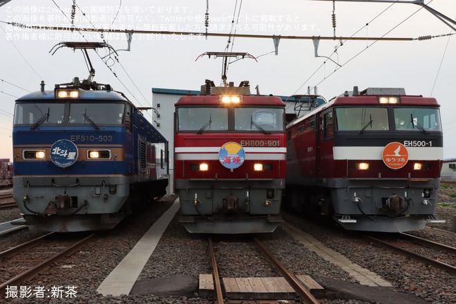 【JR貨】JR貨物×JR東日本Presents 心じゃわめぐ AOMORI RAIL FES 夜間機関車撮影会