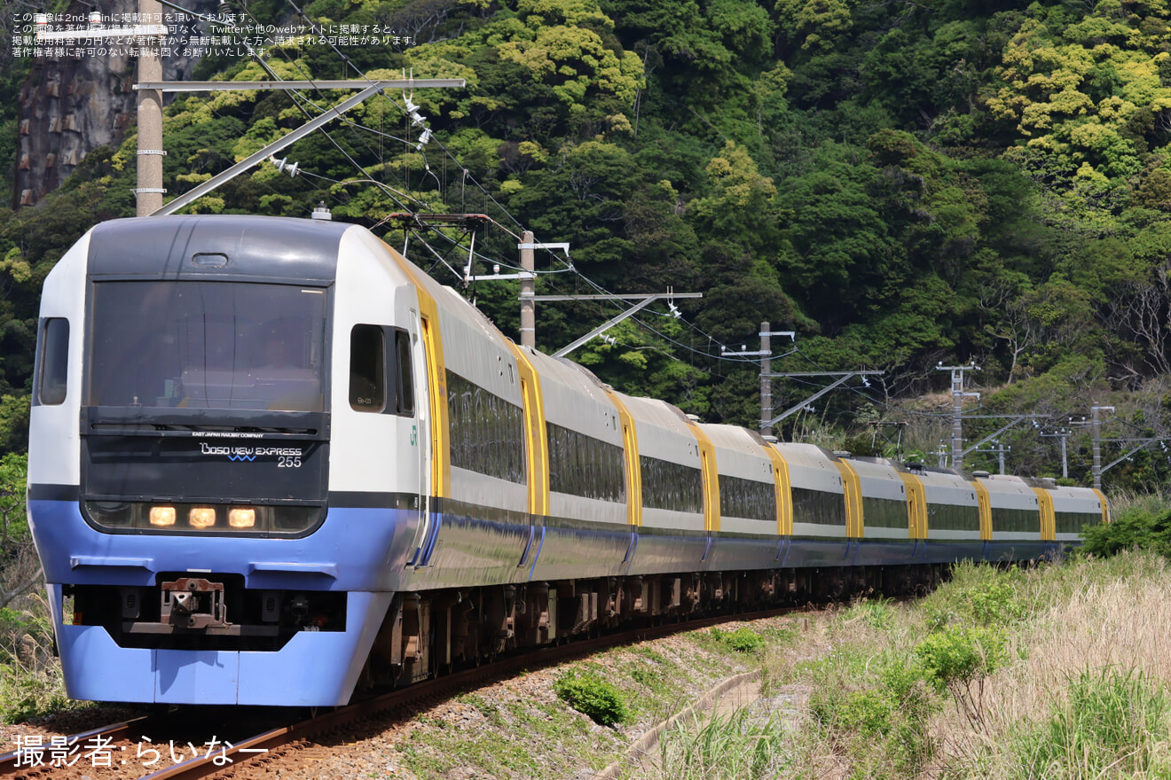 【JR東】255系マリBe-03編成使用「新宿さざなみ」運行の拡大写真