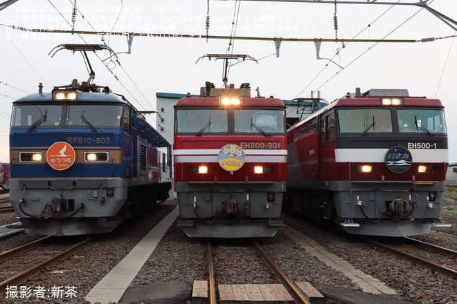 【JR貨】JR貨物×JR東日本Presents 心じゃわめぐ AOMORI RAIL FES 夜間機関車撮影会