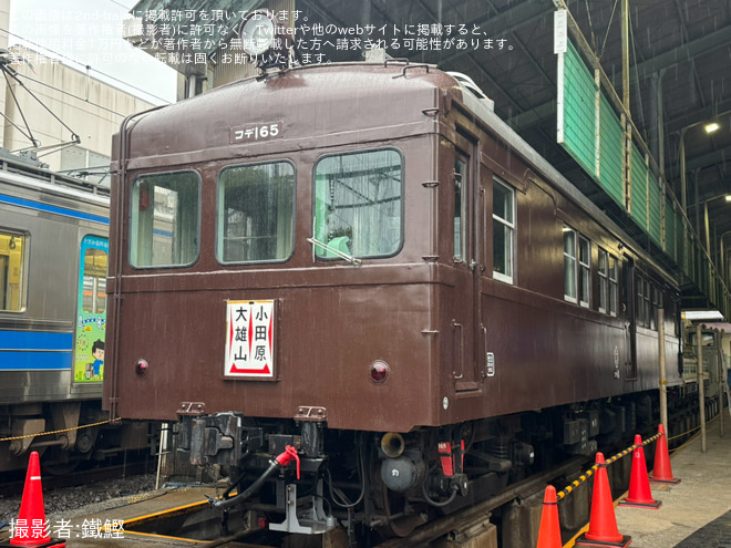 【伊豆箱】「行くべーよ いずっぱこ大雄 キッズ＆ファミリーフェスティバル」開催(2025年)