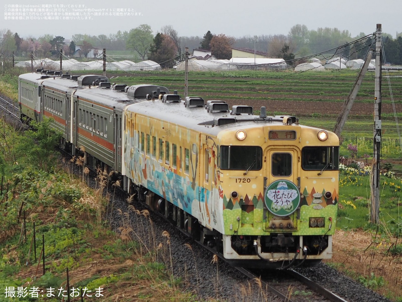 【JR北】観光列車急行「花たび そうや号」を運行の拡大写真