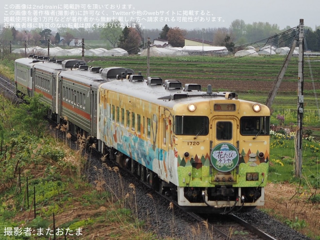 【JR北】観光列車急行「花たび そうや号」を運行