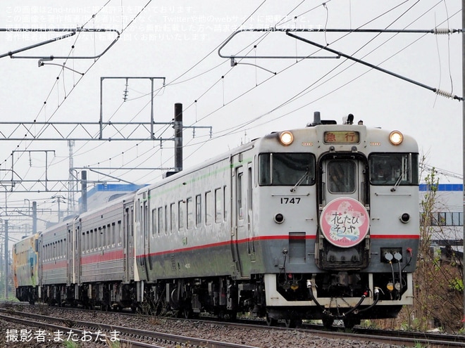 【JR北】観光列車急行「花たび そうや号」を運行