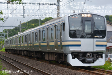 Uploaded Picture