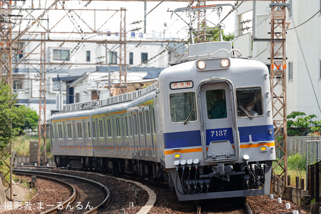 【南海】7100系7137F千代田工場出場試運転(202505)を堺東～三国ヶ丘間で撮影した写真