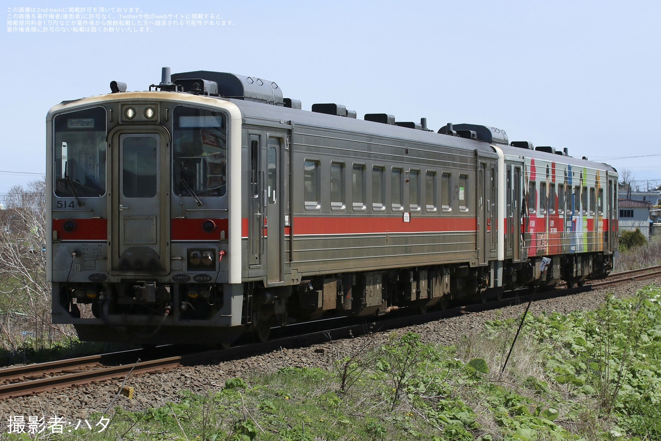 【JR北】第75回あっけし桜・牡蠣まつりの開催に合わせて花咲線で増結運転の拡大写真