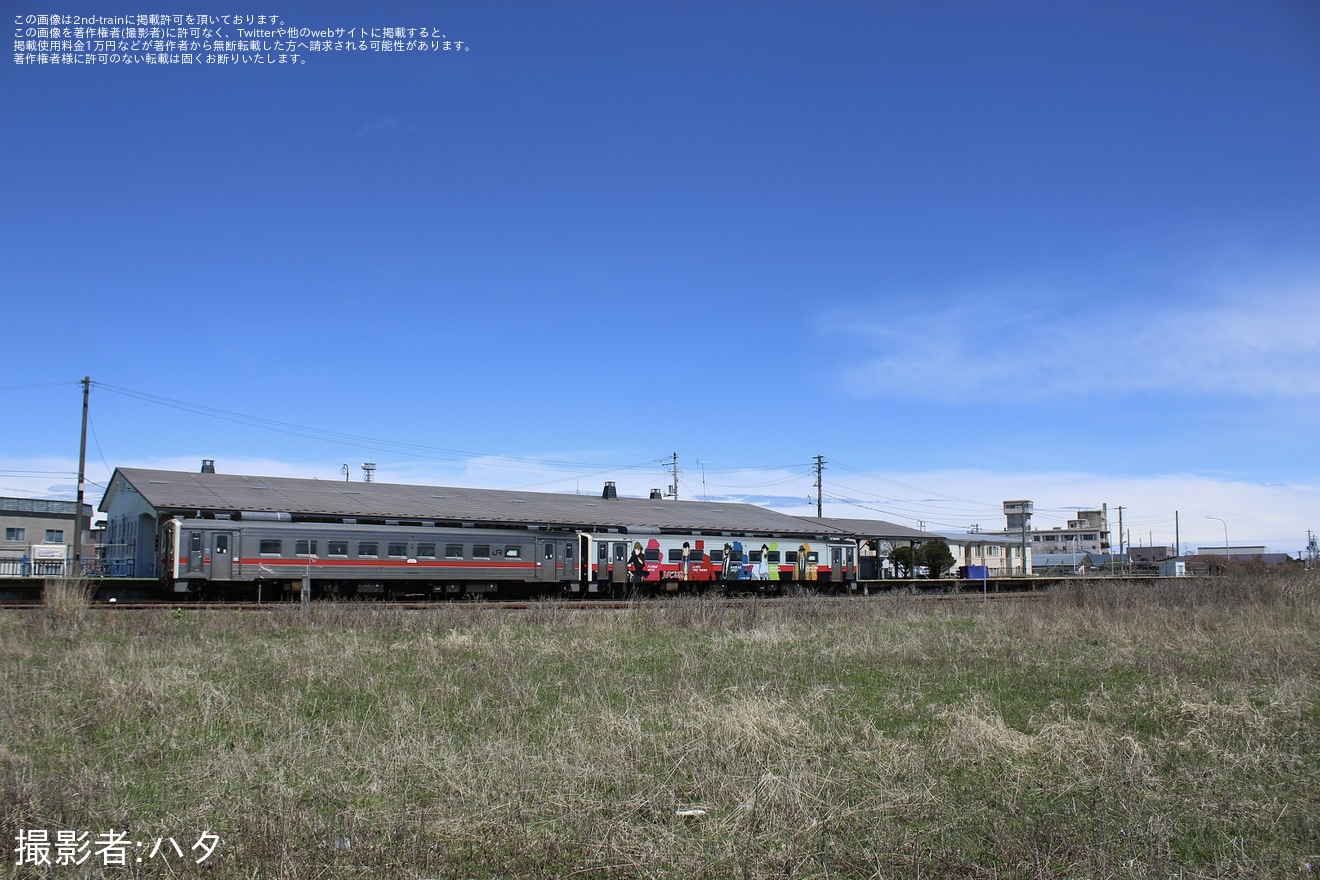 【JR北】第75回あっけし桜・牡蠣まつりの開催に合わせて花咲線で増結運転の拡大写真