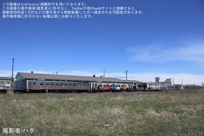 【JR北】第75回あっけし桜・牡蠣まつりの開催に合わせて花咲線で増結運転