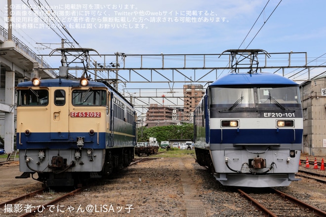 【JR貨】「桃しか勝たん in OKAKI」が開催