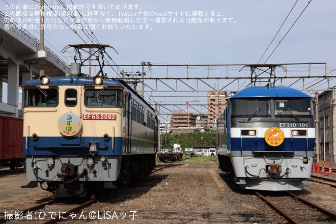 【JR貨】「桃しか勝たん in OKAKI」が開催