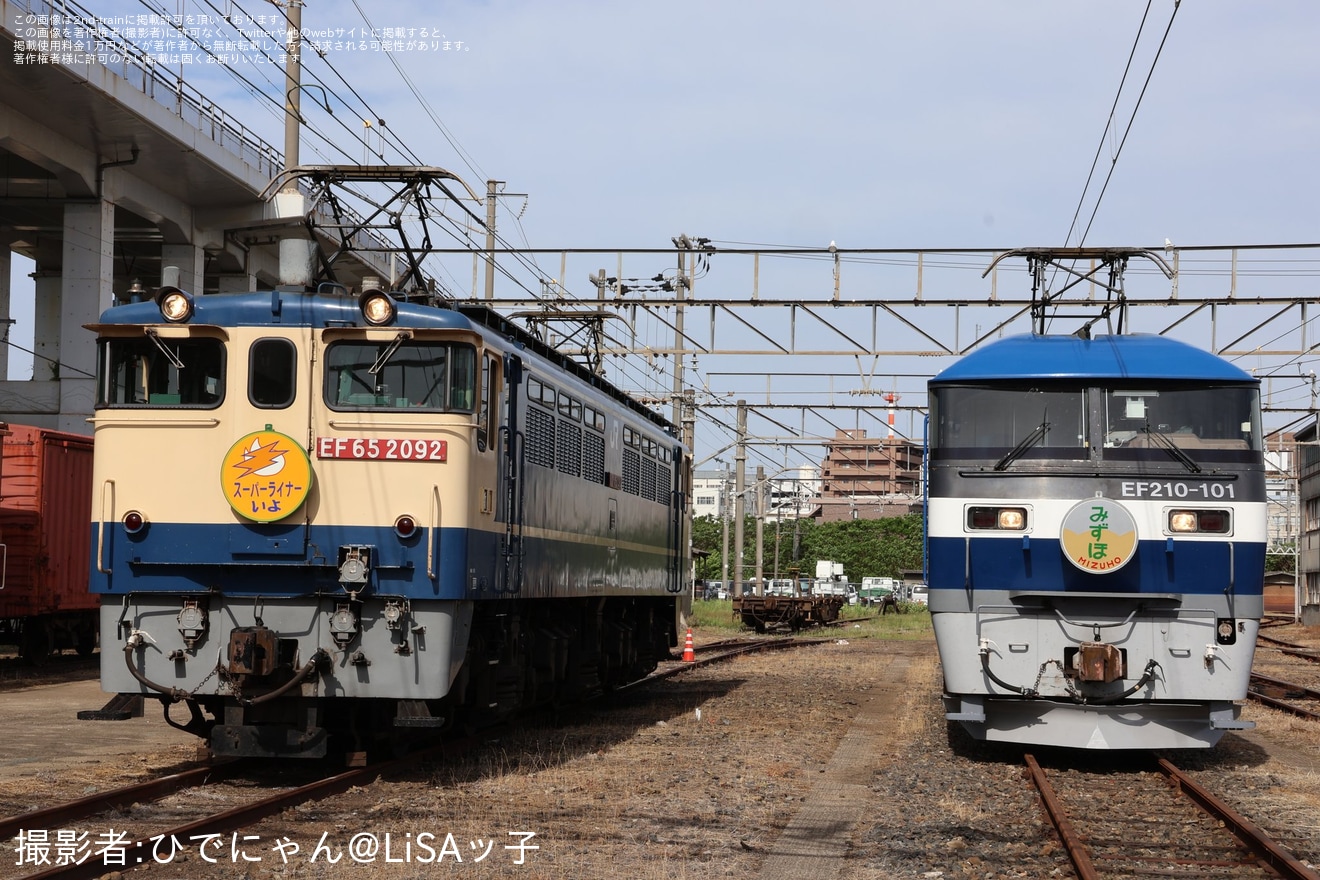 【JR貨】「桃しか勝たん in OKAKI」が開催の拡大写真