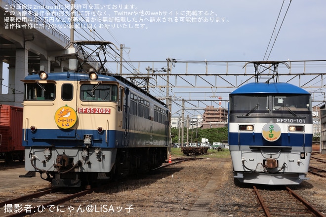 【JR貨】「桃しか勝たん in OKAKI」が開催