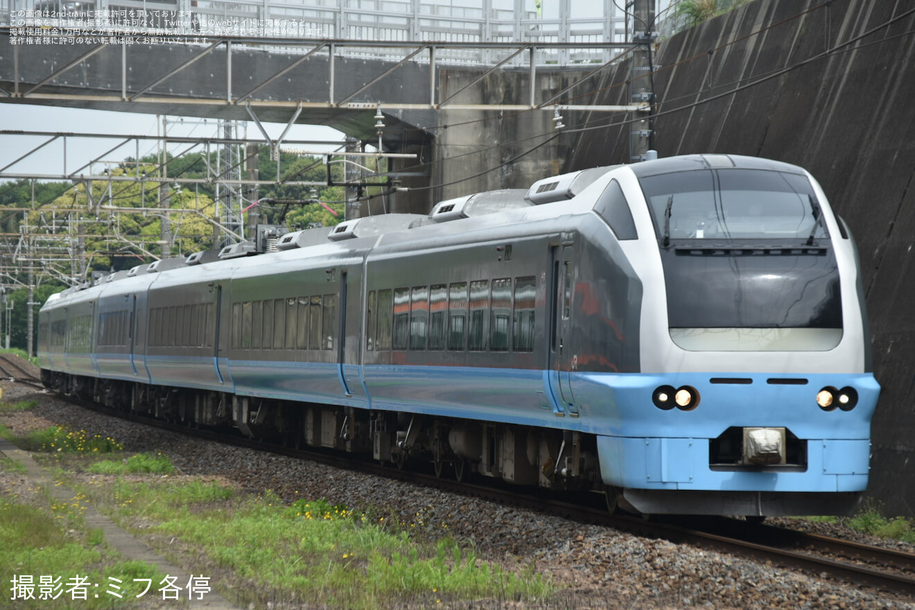 【JR東】E653系K71編成使用の舞浜臨の拡大写真