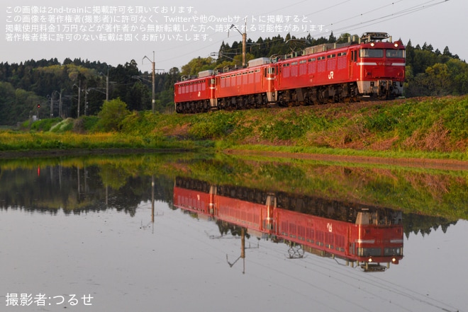 【JR東】EF81-97とEF81-141が廃車のため配給輸送