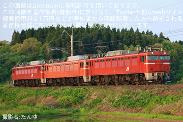 byたんゆ