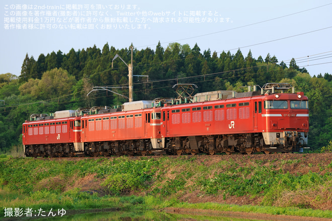 【JR東】EF81-97とEF81-141が廃車のため配給輸送