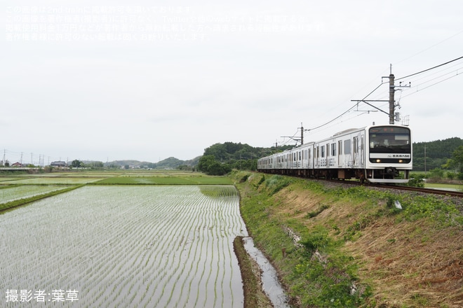 【JR東】臨時快速「B.B.BASE手賀沼」号が運転を不明で撮影した写真