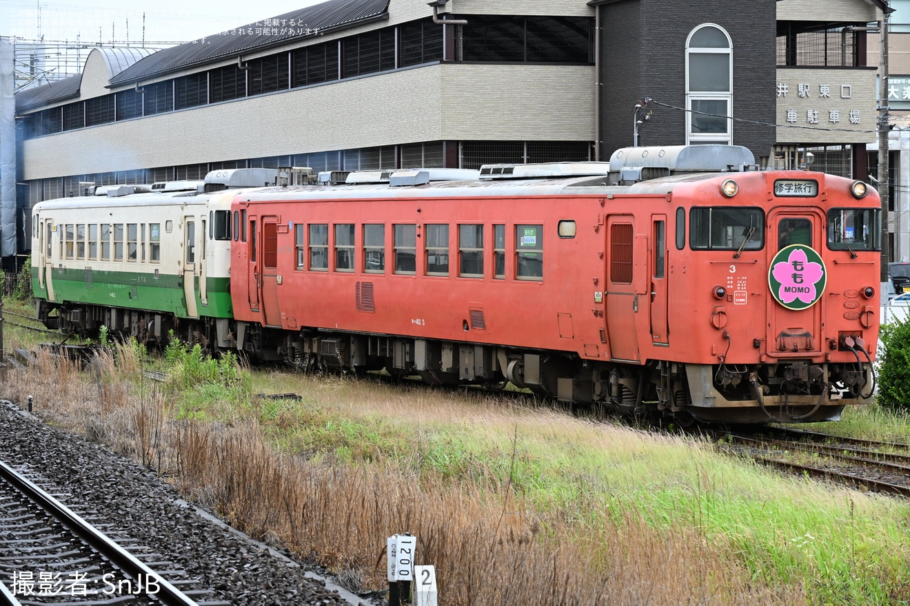 【小湊】鉄旅タレント 伊藤桃と行く！小湊鐵道キハ40 大人の修学旅行風　第2弾の拡大写真