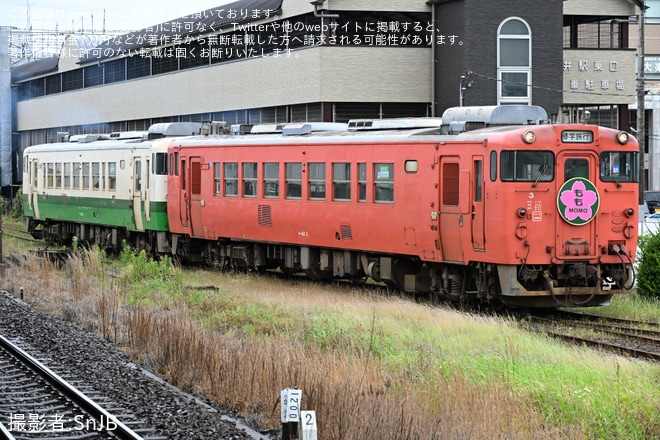 【小湊】鉄旅タレント 伊藤桃と行く！小湊鐵道キハ40 大人の修学旅行風　第2弾