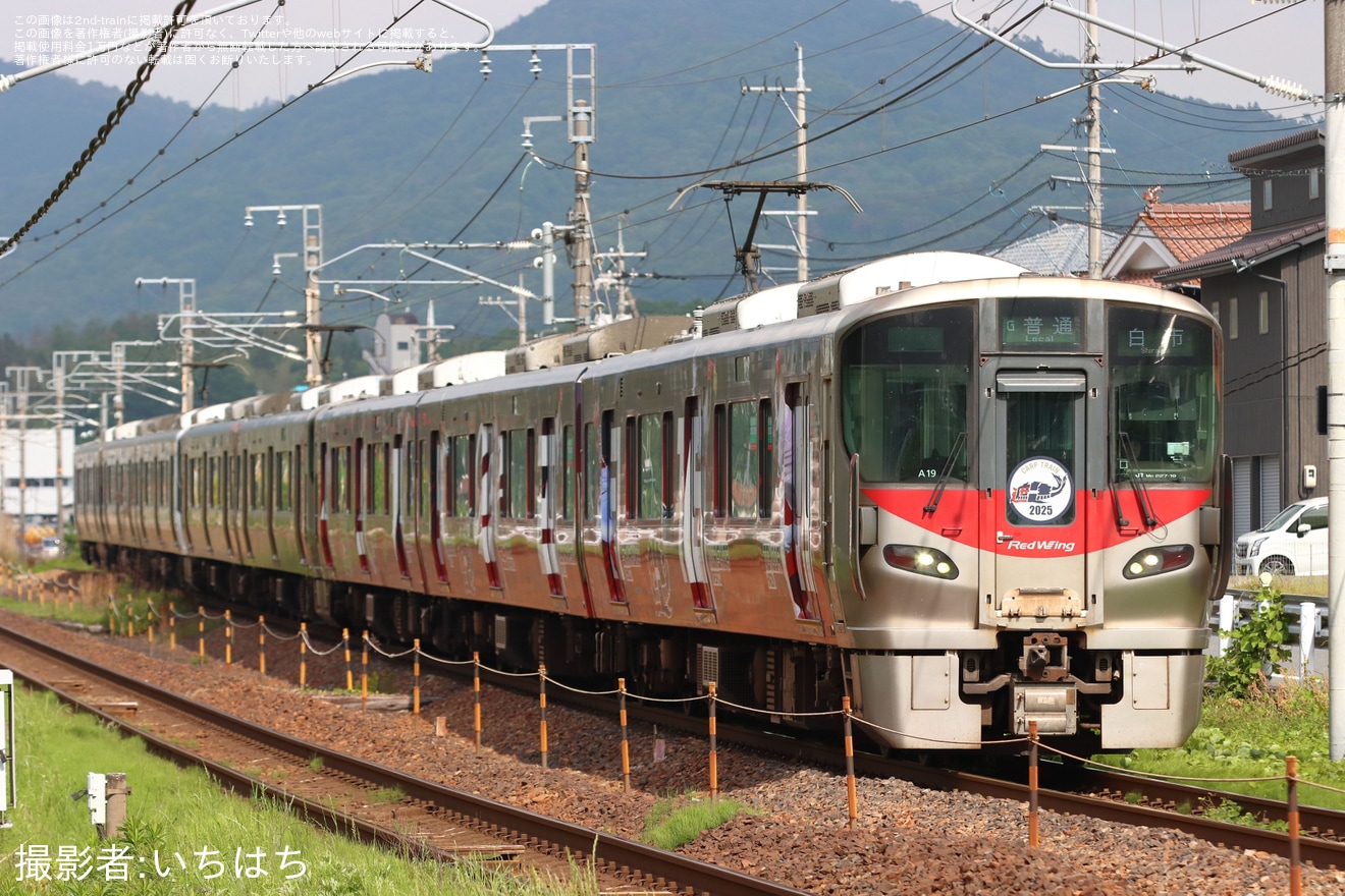 【JR西】227系の3色団子編成が実現の拡大写真