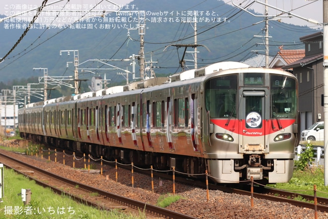 【JR西】227系の3色団子編成が実現