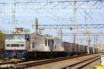 byNoric571