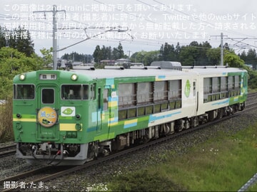 愛称表示あり】特急「富士回遊」臨時便の車両がE257系5500番台に