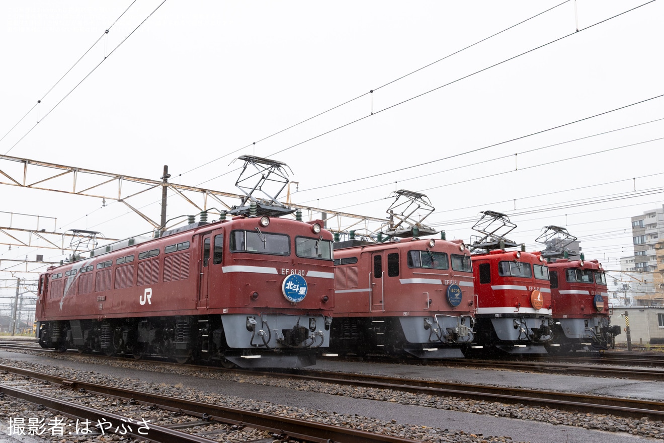 【JR東】「尾久車両センター機関車撮影会『EF81会』」開催(2025年5月)の拡大写真