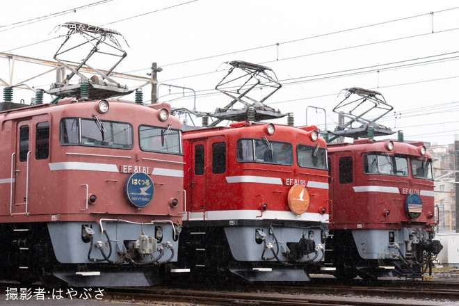 尾久車両センターで撮影された【JR東】「尾久車両センター機関車撮影会『EF81会』」開催(2025年5月)