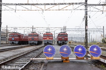 da488e5481ec66f0d5451e97560a19